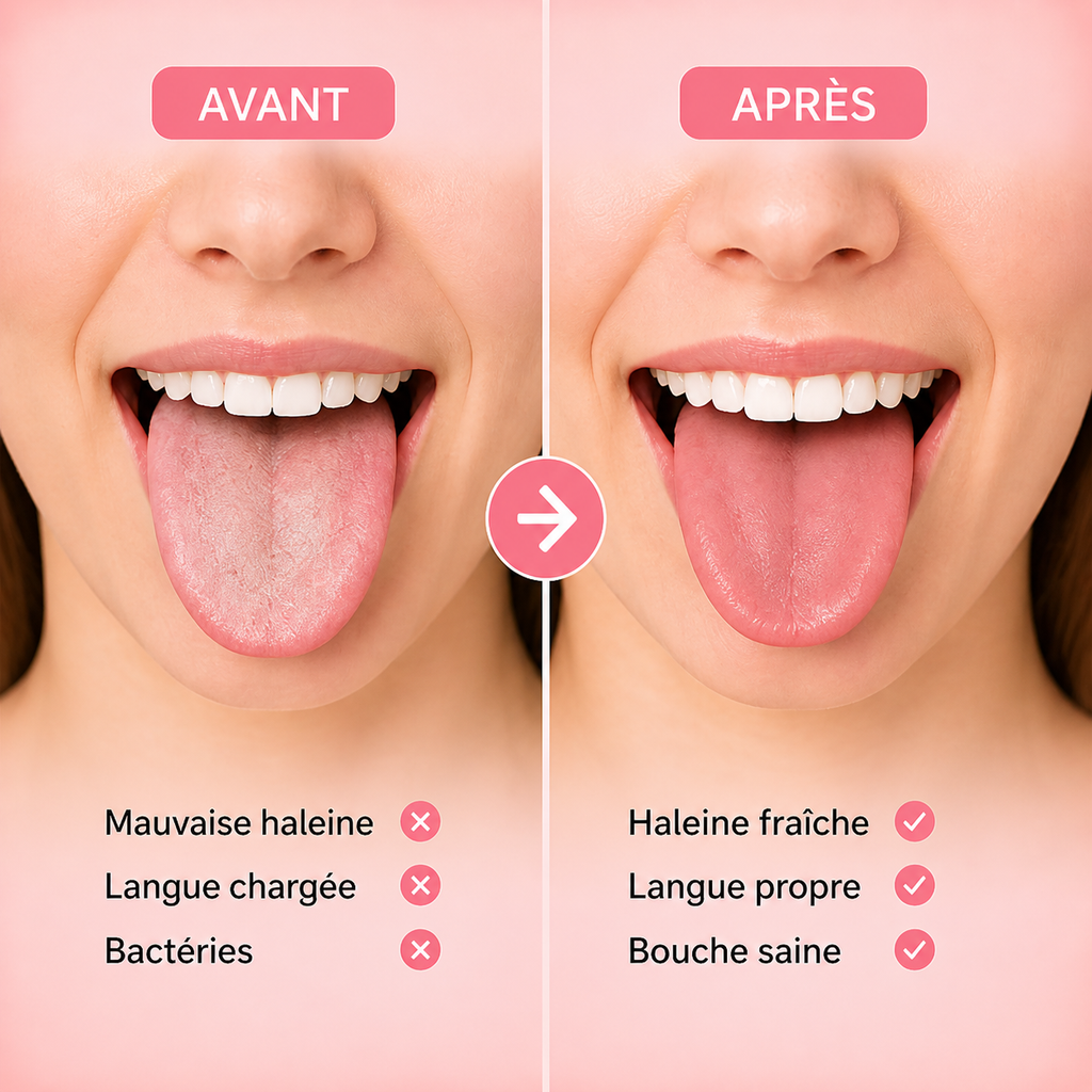 Gratte-Langue en Inox