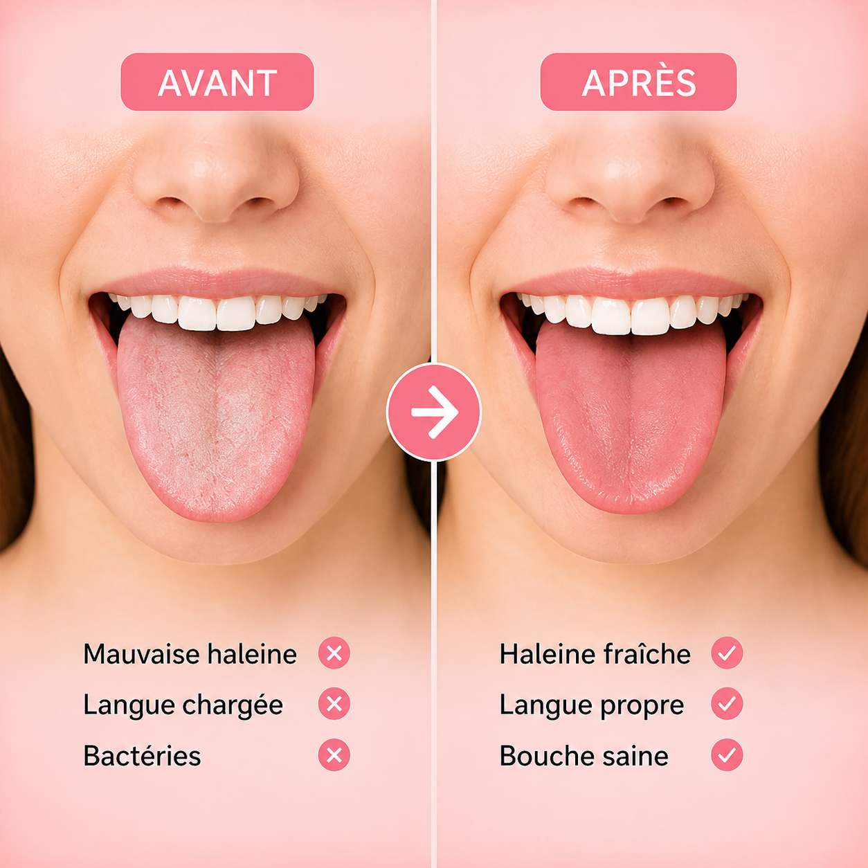 Gratte-Langue en Inox